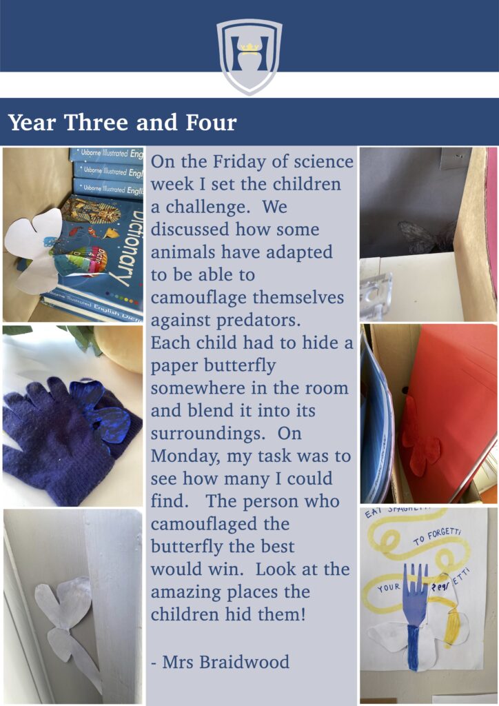 Year Three and Four
Concerts
   On the Friday of science week I set the children a challenge. We discussed how some animals have adapted to be able to camouflage themselves against predators.
Each child had to hide a paper butterfly somewhere in the room and blend it into its surroundings. On Monday, my task was to see how many I could find. The person who camouflaged the butterfly the best
would win. Look at the amazing places the children hid them!
- Mrs Braidwood